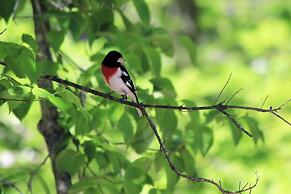Romantic, Cozy Loft w/ Yard, 5 Miles to Clemson