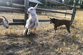 Rural Kettle Falls Bunkhouse w/ Airstrip & Trails!