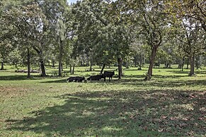 Plantersville Cabin on 50 Acres w/ Pond & Fire Pit