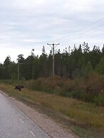 Old Post Office now Cosy Apartment Close to Nature