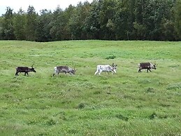 Old Post Office now Cosy Apartment Close to Nature