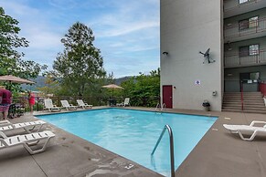 Bear-sighting Condo: Walk to Downtown Gatlinburg!