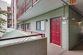 Bear-sighting Condo: Walk to Downtown Gatlinburg!