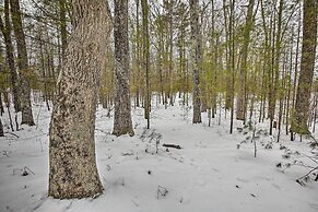 Remote Michigan Retreat on 10 Acres w/ Grill!