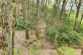 Quaint Smoky Mountain Cabin Rental w/ Patio