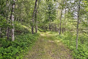 Rustic Cozy Cabin on Island Lake w/ Fire Pit, Dock