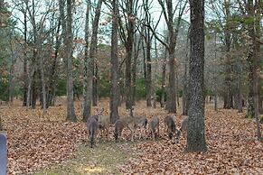 Tahlequah Duplex w/ Screened-in Porch & Fire Pit!
