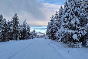 Adventurer's Studio ~ 20 Mi to West Yellowstone!