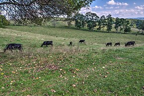 Fish, Hike, Hunt: Secluded Cabin in Doe Hill!