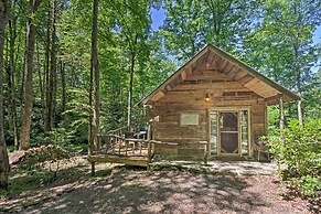 Creekside' Cabin w/ Deck in Pisgah Forest!