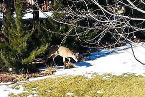 Charming Hideaway w/ Patio: 3 Mi to Kansas State!