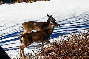 Charming Hideaway w/ Patio: 3 Mi to Kansas State!