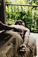 Magical Jungle Resort and Spa