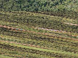 Valley Stream Private Eden