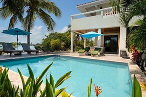 Villa Island Time Gecko