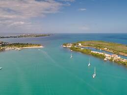 Villa Island Time Gecko