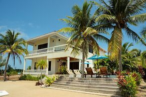 Villa Island Time Gecko