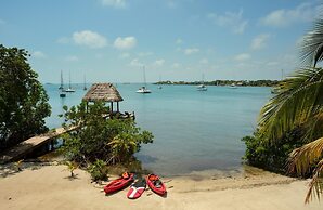 Villa Island Time Gecko