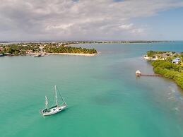 Villa Island Time Gecko