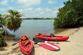 Villa Island Time Gecko