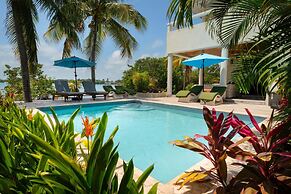 Villa Island Time Gecko