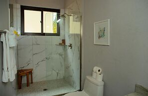 Villa Island Time Gecko