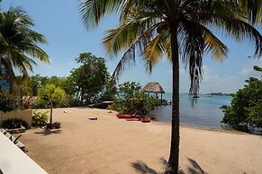 Villa Island Time Gecko