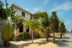 Villa Island Time Gecko