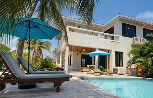 Villa Island Time Gecko