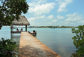 Villa Island Time Gecko