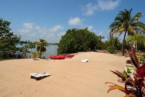 Villa Island Time Gecko