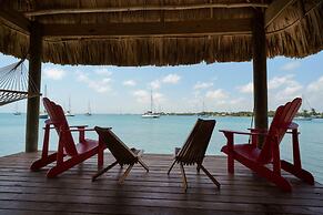 Villa Island Time Gecko