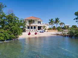 Villa Island Time Gecko