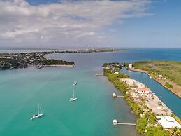 Villa Island Time Gecko