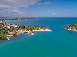 Villa Island Time Gecko