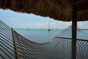 Villa Island Time Gecko