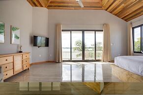 Villa Island Time Gecko