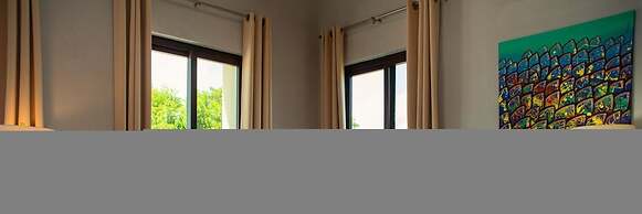 Villa Island Time Gecko