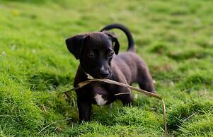 Exclusive Private Island With 360 Degree View of the Ocean