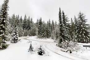 Ski in Ski out - Steam Shower - Roof top Hot tub