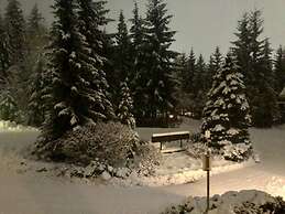 Ski in Ski out - Steam Shower - Roof top Hot tub