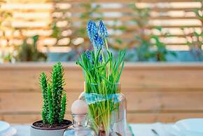 Premium Deluxe Apartment -b2-common Terrace