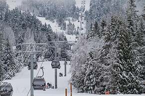 Marquise - Ski in Ski out - Pool - Hot tub -1st fl