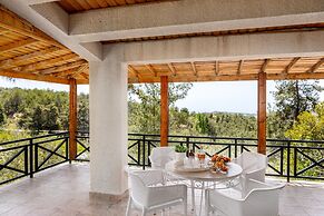 Platres Forest Panorama