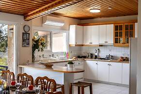 Platres Forest Panorama