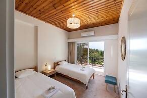 Platres Forest Panorama