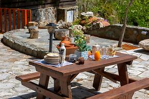 Platres Forest Panorama