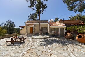 Platres Forest Panorama