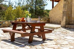 Platres Forest Panorama