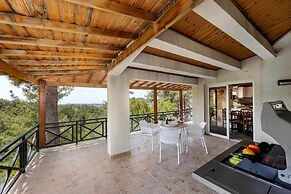 Platres Forest Panorama